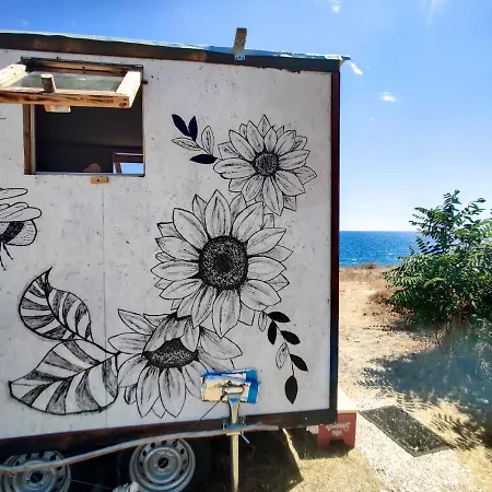 The Smallest House On Wheels, Basic *
