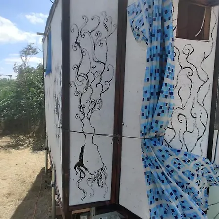 The Smallest House On Wheels, Basic *